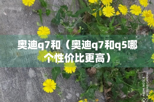 奥迪q7和（奥迪q7和q5哪个性价比更高）