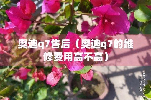 奥迪q7售后（奥迪q7的维修费用高不高）