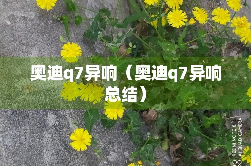 奥迪q7异响（奥迪q7异响总结）