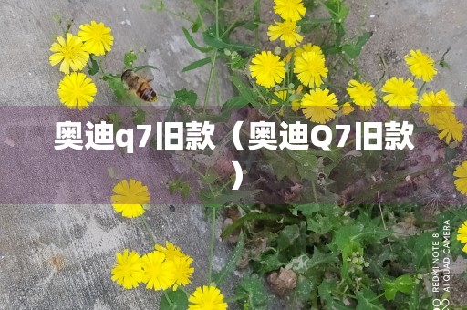 奥迪q7旧款（奥迪Q7旧款）