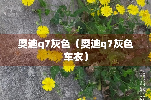 奥迪q7灰色（奥迪q7灰色车衣）