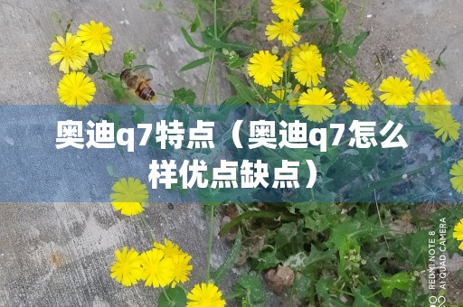 奥迪q7特点（奥迪q7怎么样优点缺点）