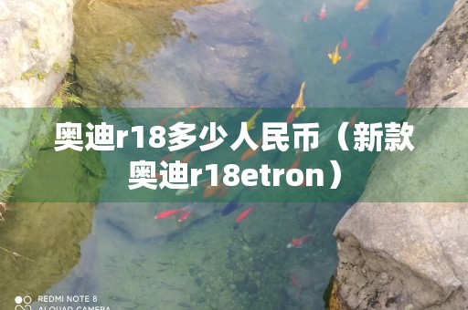 奥迪r18多少人民币（新款奥迪r18etron）