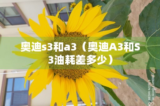 奥迪s3和a3（奥迪A3和S3油耗差多少）