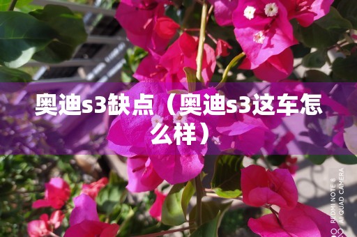 奥迪s3缺点（奥迪s3这车怎么样）