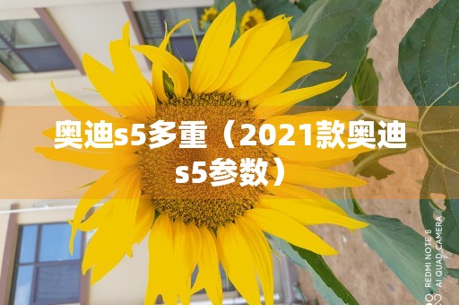 奥迪s5多重（2021款奥迪s5参数）