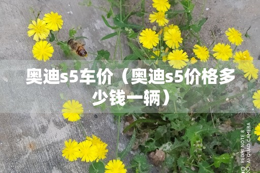 奥迪s5车价（奥迪s5价格多少钱一辆）