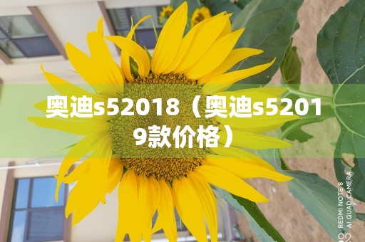 奥迪s52018（奥迪s52019款价格）