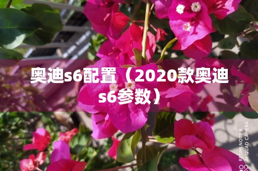 奥迪s6配置（2020款奥迪s6参数）