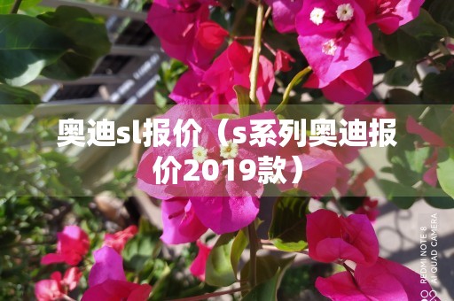 奥迪sl报价（s系列奥迪报价2019款）