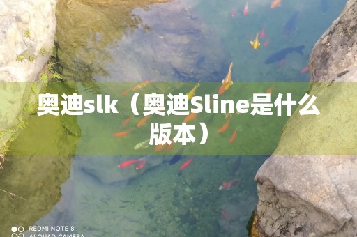 奥迪slk（奥迪Sline是什么版本）