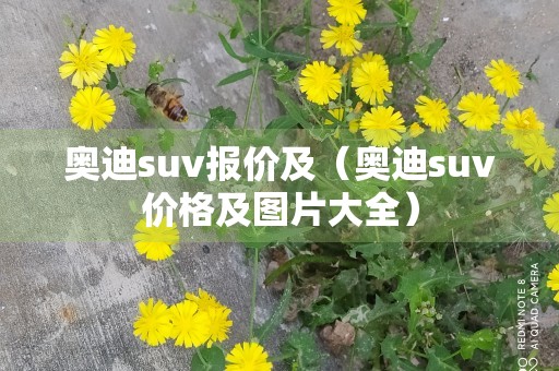 奥迪suv报价及（奥迪suv价格及图片大全）