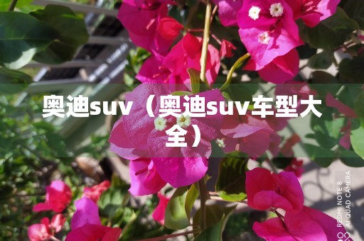 奥迪suv（奥迪suv车型大全）