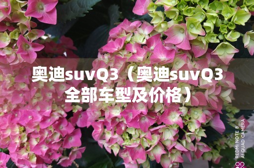 奥迪suvQ3（奥迪suvQ3全部车型及价格）