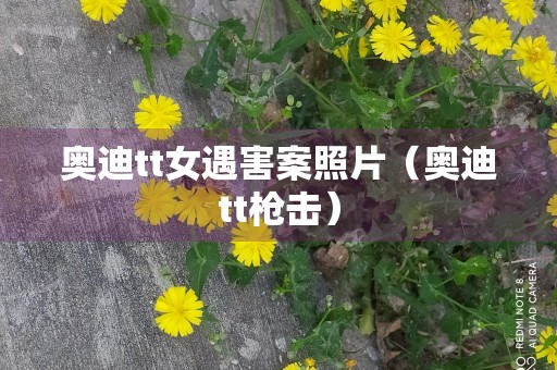 奥迪tt女遇害案照片（奥迪tt枪击）