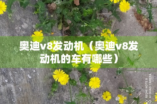 奥迪v8发动机（奥迪v8发动机的车有哪些）