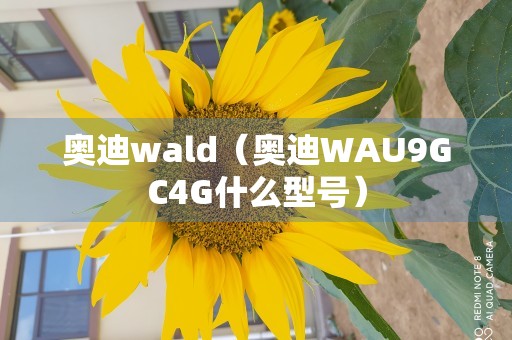 奥迪wald（奥迪WAU9GC4G什么型号）