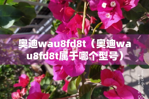 奥迪wau8fd8t（奥迪wau8fd8t属于哪个型号）