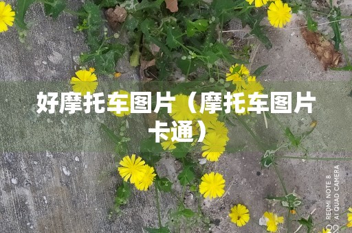 好摩托车图片（摩托车图片卡通）