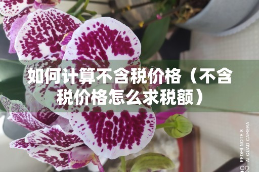 如何计算不含税价格（不含税价格怎么求税额）