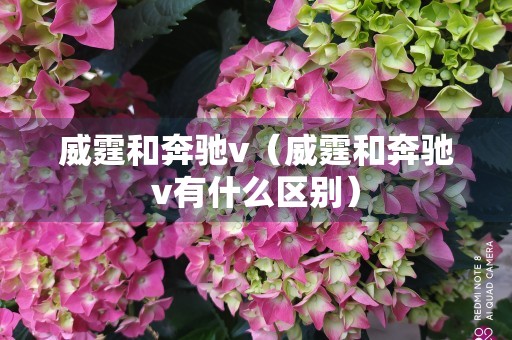 威霆和奔驰v（威霆和奔驰v有什么区别）