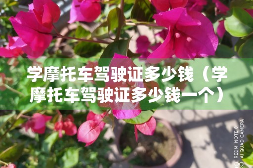 学摩托车驾驶证多少钱（学摩托车驾驶证多少钱一个）