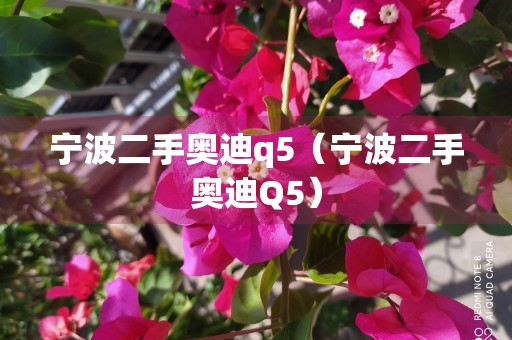 宁波二手奥迪q5（宁波二手奥迪Q5）