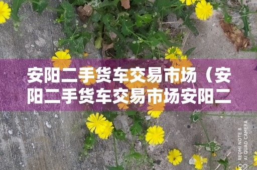 安阳二手货车交易市场（安阳二手货车交易市场安阳二手车市场）