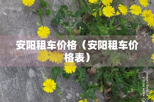 安阳租车价格（安阳租车价格表）