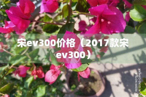 宋ev300价格（2017款宋ev300）