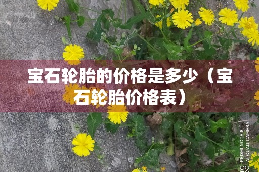 宝石轮胎的价格是多少（宝石轮胎价格表）