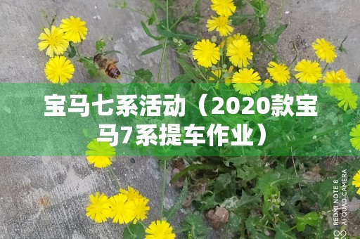 宝马七系活动（2020款宝马7系提车作业）