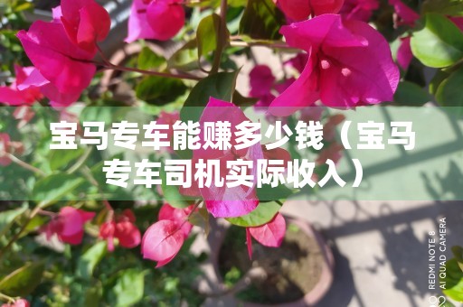 宝马专车能赚多少钱（宝马专车司机实际收入）