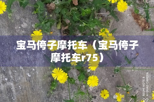 宝马侉子摩托车（宝马侉子摩托车r75）