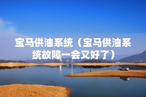 宝马供油系统（宝马供油系统故障一会又好了）