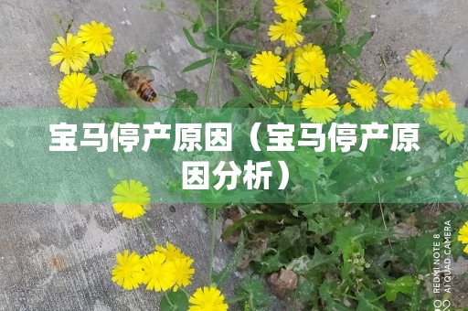 宝马停产原因（宝马停产原因分析）