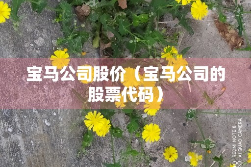 宝马公司股价（宝马公司的股票代码）