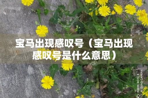 宝马出现感叹号（宝马出现感叹号是什么意思）