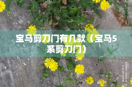 宝马剪刀门有几款（宝马5系剪刀门）