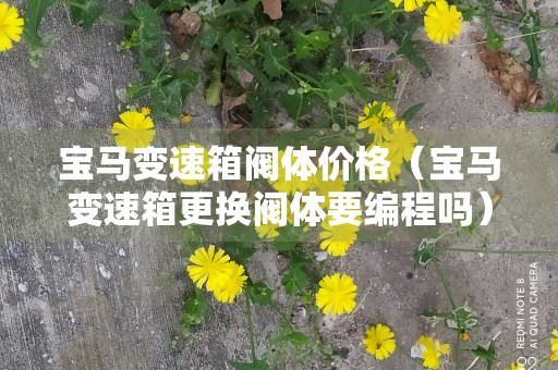 宝马变速箱阀体价格（宝马变速箱更换阀体要编程吗）