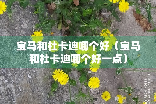 宝马和杜卡迪哪个好（宝马和杜卡迪哪个好一点）