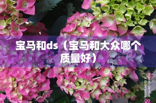 宝马和ds（宝马和大众哪个质量好）