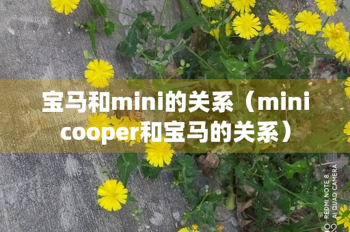 宝马和mini的关系（minicooper和宝马的关系）