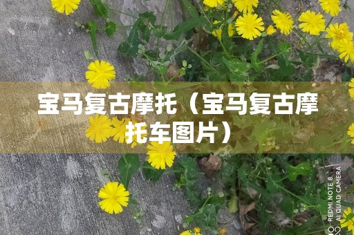 宝马复古摩托（宝马复古摩托车图片）