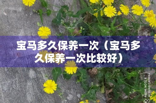 宝马多久保养一次（宝马多久保养一次比较好）