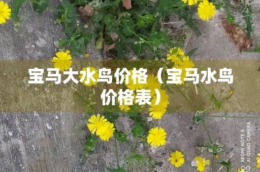 宝马大水鸟价格（宝马水鸟价格表）