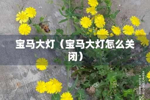 宝马大灯（宝马大灯怎么关闭）