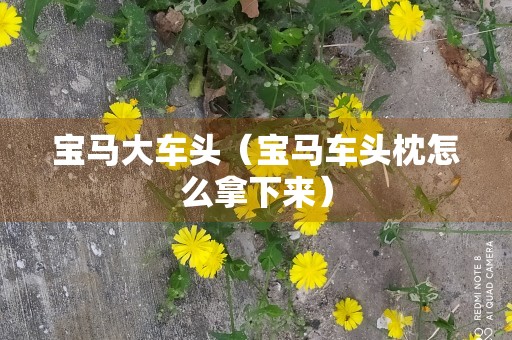 宝马大车头（宝马车头枕怎么拿下来）