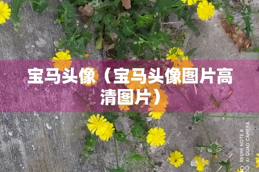 宝马头像（宝马头像图片高清图片）