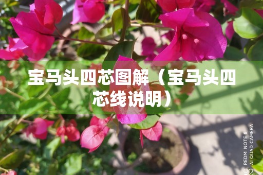 宝马头四芯图解（宝马头四芯线说明）